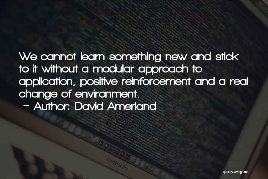 Self Reinforcement Quotes By David Amerland