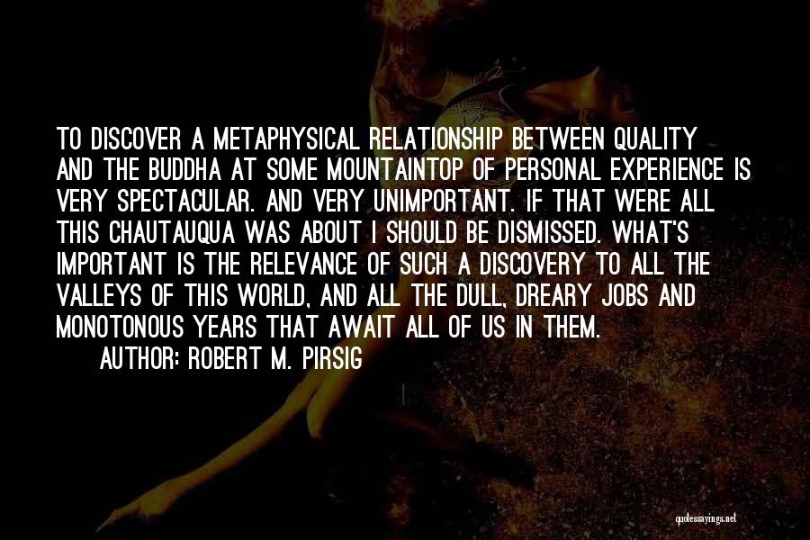 Self Relevance Quotes By Robert M. Pirsig