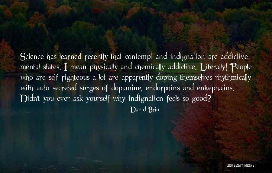 Self Righteous Indignation Quotes By David Brin Self Righteous Indignation Quotes By David Brin