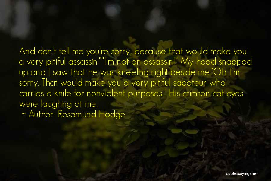 Self Saboteur Quotes By Rosamund Hodge