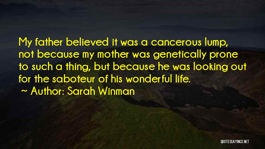 Self Saboteur Quotes By Sarah Winman
