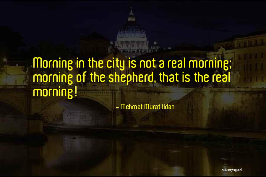 Self Sacrifice Synonym Quotes By Mehmet Murat Ildan Self Sacrifice Synonym Quotes By Mehmet Murat Ildan