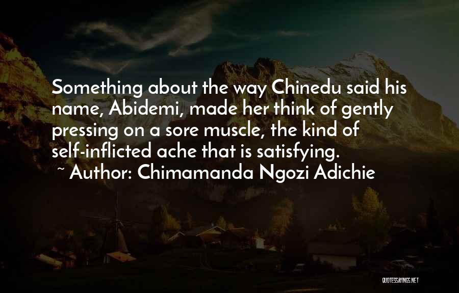 Self Satisfying Quotes By Chimamanda Ngozi Adichie