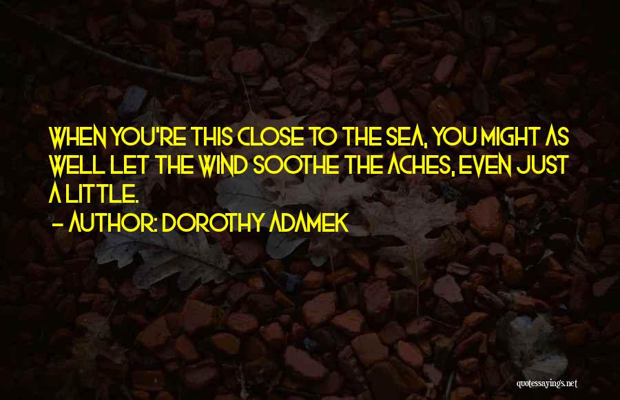 Self Soothe Quotes By Dorothy Adamek