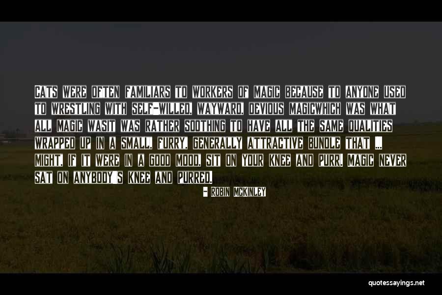 Self Soothing Quotes By Robin McKinley Self Soothing Quotes By Robin McKinley