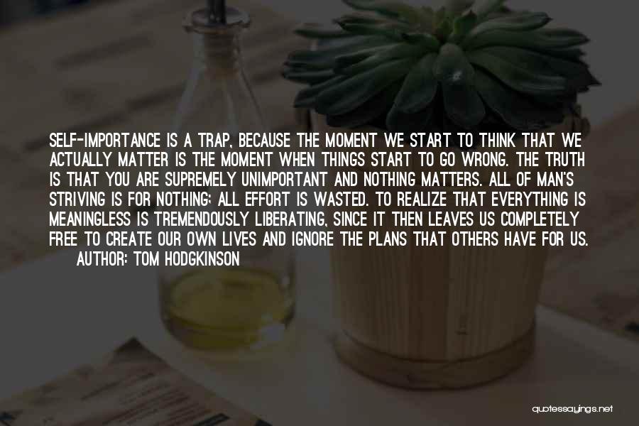 Self Striving Quotes By Tom Hodgkinson