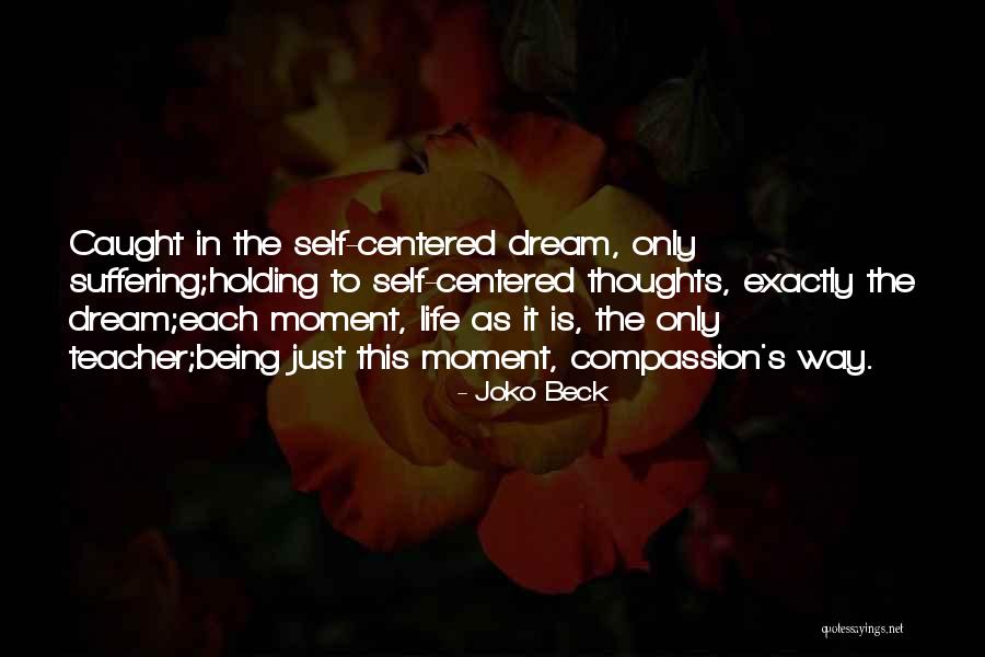 Self Suffering Quotes By Joko Beck Self Suffering Quotes By Joko Beck