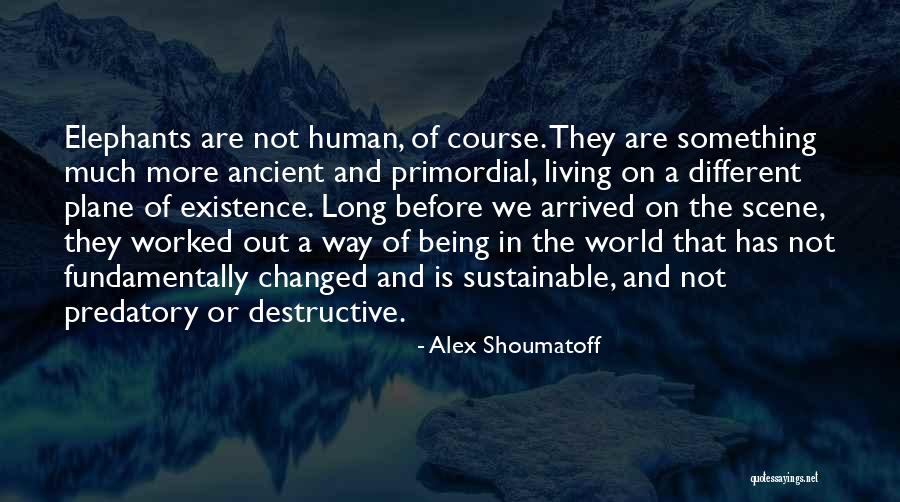 Self Sustainable Living Quotes By Alex Shoumatoff