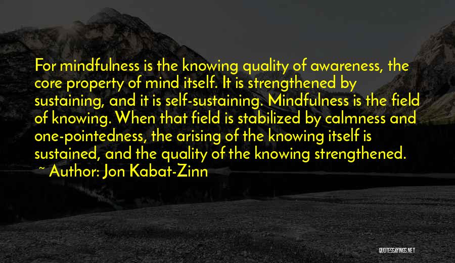 Self Sustained Quotes By Jon Kabat-Zinn