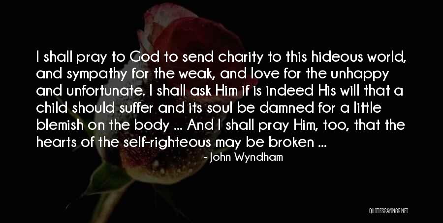 Self Sympathy Quotes By John Wyndham Self Sympathy Quotes By John Wyndham
