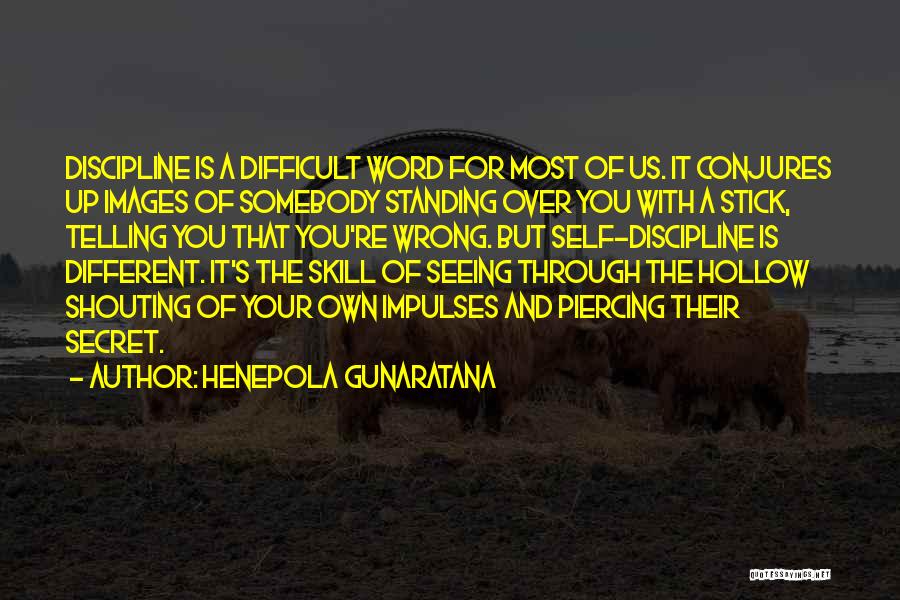 Self Telling Quotes By Henepola Gunaratana