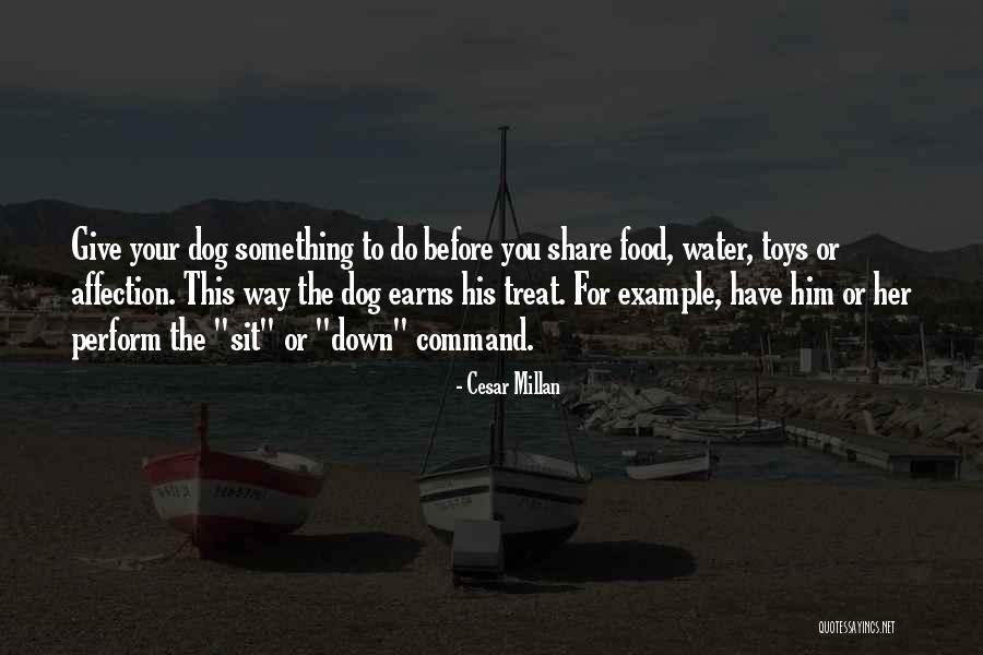 Self Treat Food Quotes By Cesar Millan Self Treat Food Quotes By Cesar Millan