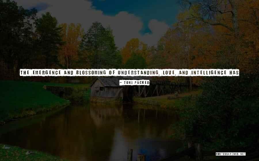 Self Understanding Or Self Understanding Quotes By Toni Packer Self Understanding Or Self Understanding Quotes By Toni Packer
