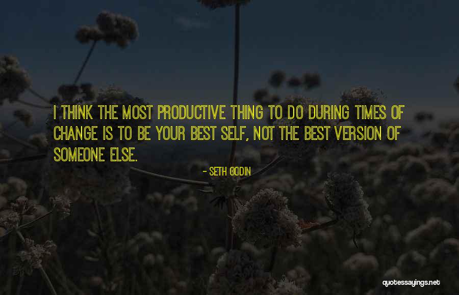 Self Version Quotes By Seth Godin