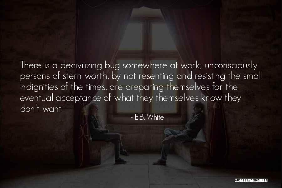 Self Worth And Acceptance Quotes By E.B. White