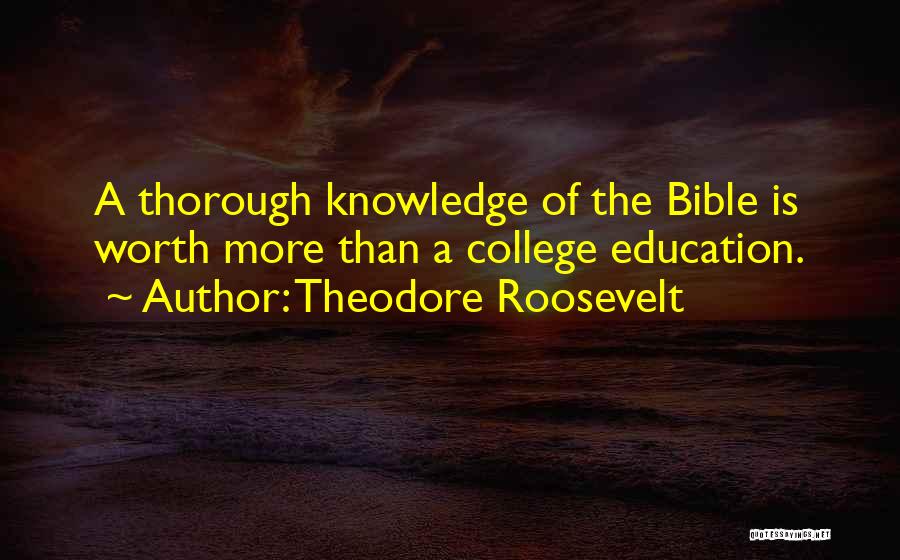 Self Worth In The Bible Quotes By Theodore Roosevelt