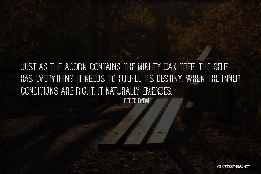 Selfhelp Quotes By Derek Rydall Selfhelp Quotes By Derek Rydall