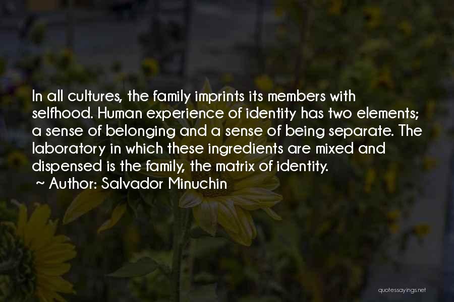 Selfhood Quotes By Salvador Minuchin