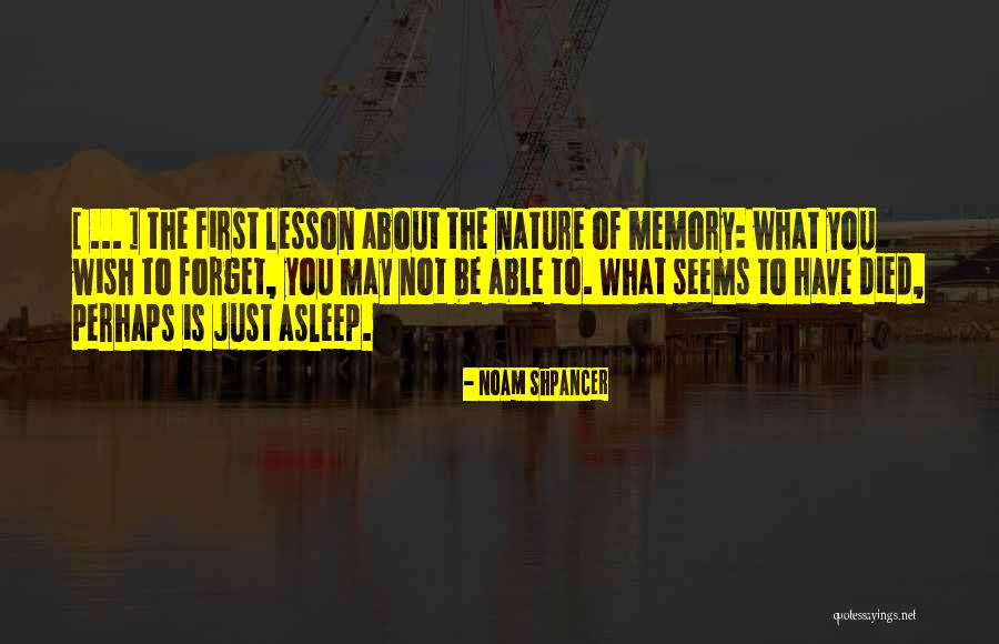 Selflesness Quotes By Noam Shpancer Selflesness Quotes By Noam Shpancer