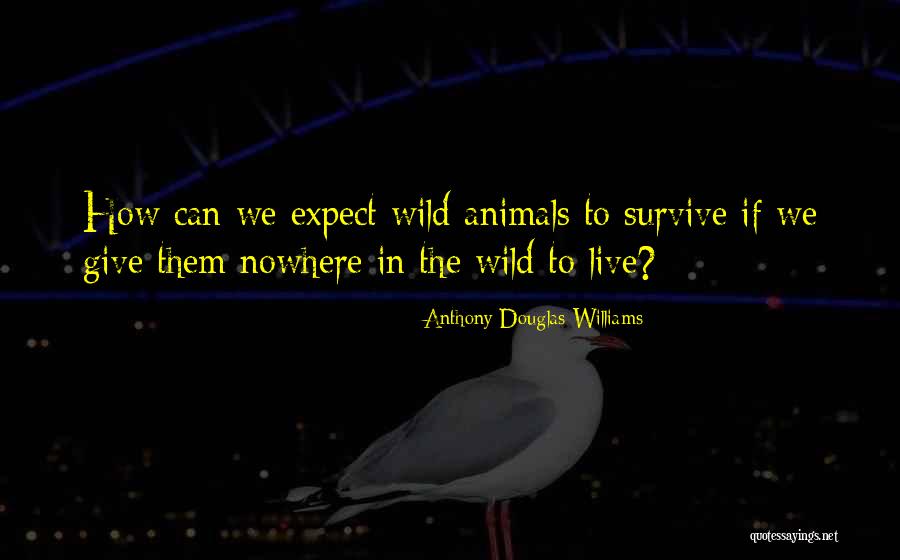 Seligkeit Franz Quotes By Anthony Douglas Williams Seligkeit Franz Quotes By Anthony Douglas Williams