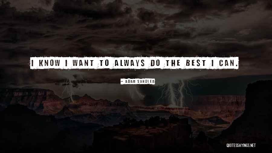 Seligmann Quotes By Adam Sandler