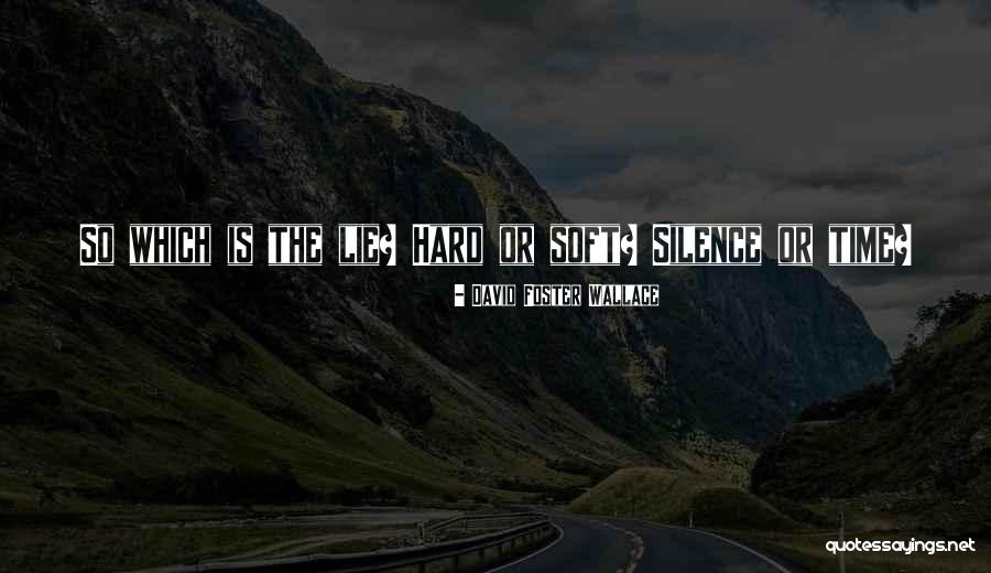 Selimovic Dzevad Quotes By David Foster Wallace Selimovic Dzevad Quotes By David Foster Wallace