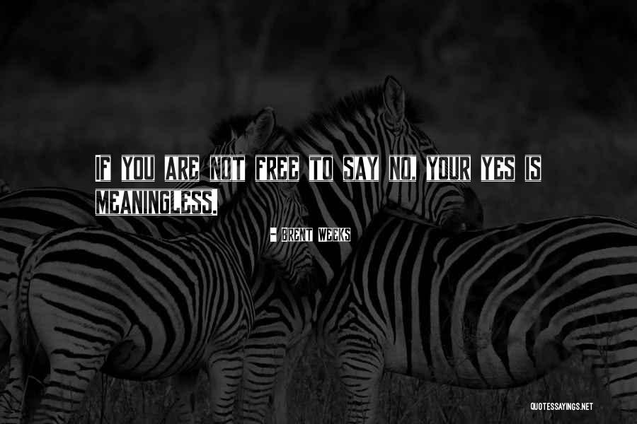 Selin Dion Quotes By Brent Weeks Selin Dion Quotes By Brent Weeks