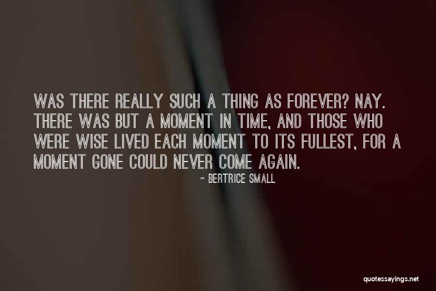 Seliplaw Quotes By Bertrice Small Seliplaw Quotes By Bertrice Small