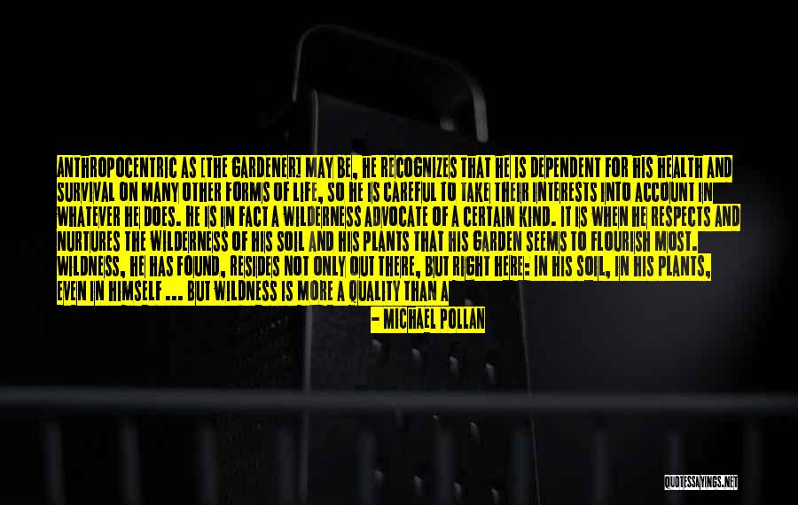 Seljan Quotes By Michael Pollan Seljan Quotes By Michael Pollan