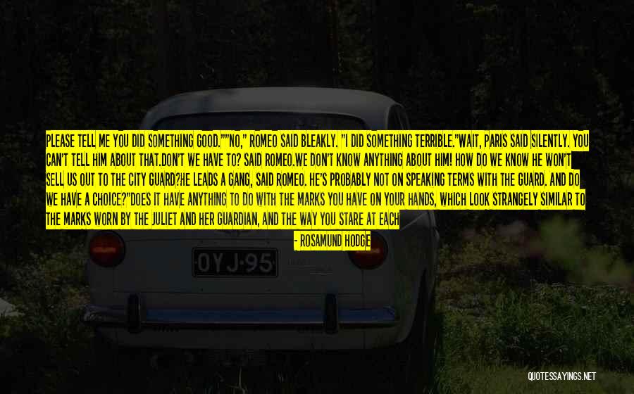 Sell Out Quotes By Rosamund Hodge Sell Out Quotes By Rosamund Hodge
