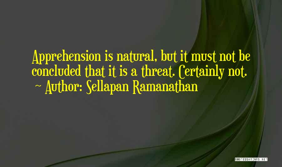 Sellapan Ramanathan Quotes 1780767