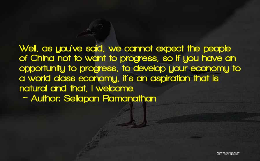 Sellapan Ramanathan Quotes 442879