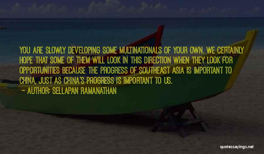 Sellapan Ramanathan Quotes 488551