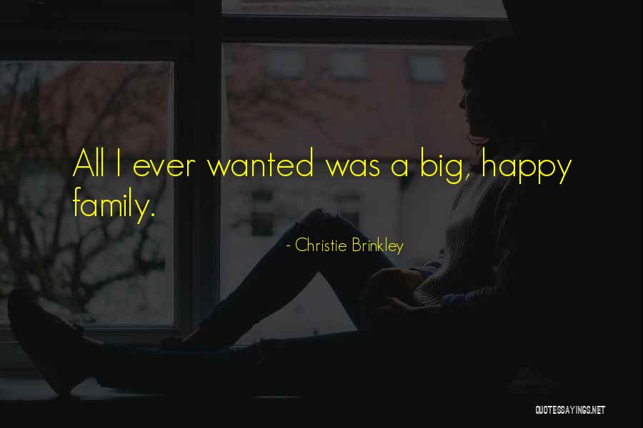 Selles Vertes Quotes By Christie Brinkley Selles Vertes Quotes By Christie Brinkley