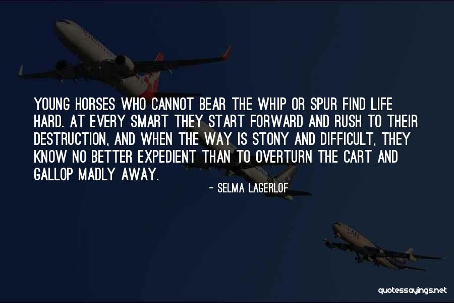 Selma Lagerlof Quotes 725795 Selma Lagerlof Quotes 725795