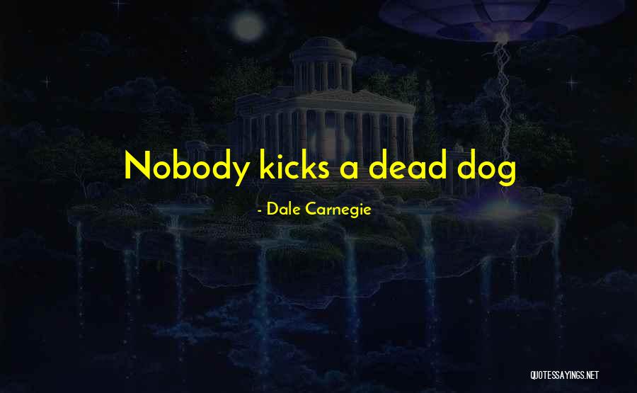 Selosa Quotes By Dale Carnegie
