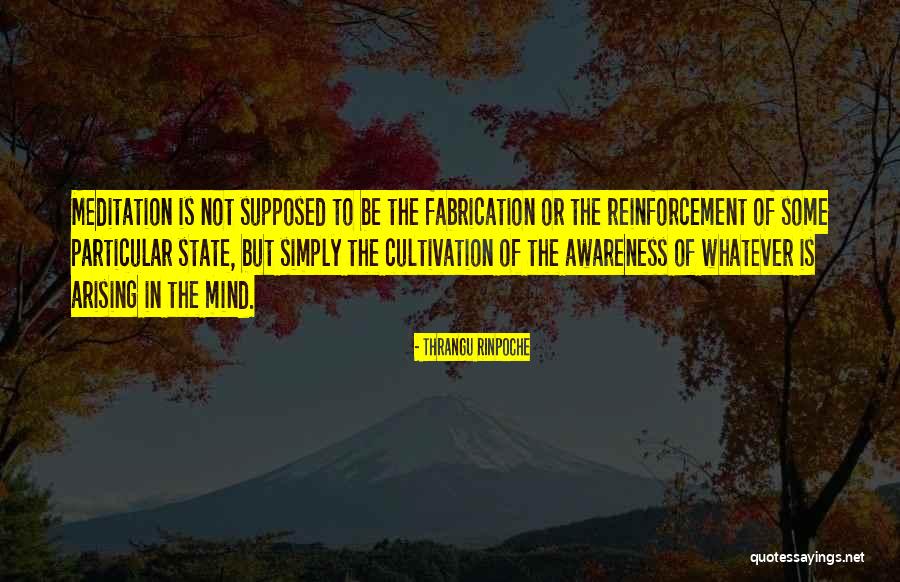 Seluna Dawn Quotes By Thrangu Rinpoche Seluna Dawn Quotes By Thrangu Rinpoche