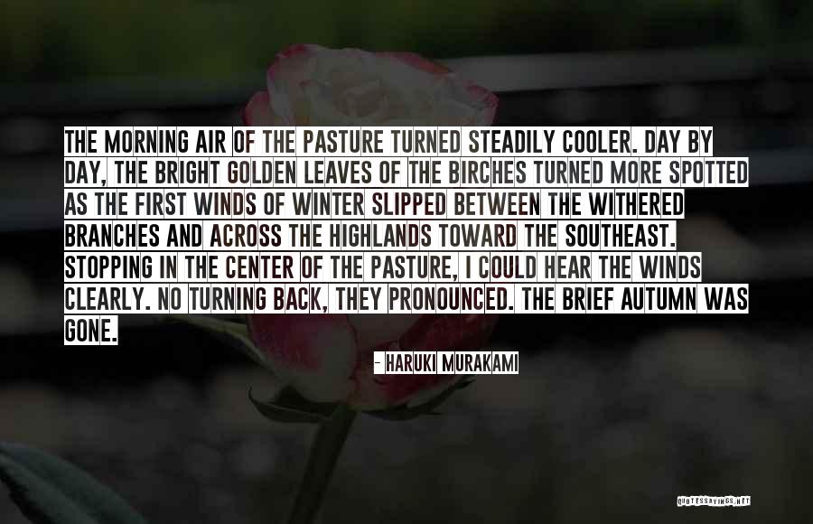Selvatica Bananas Quotes By Haruki Murakami Selvatica Bananas Quotes By Haruki Murakami