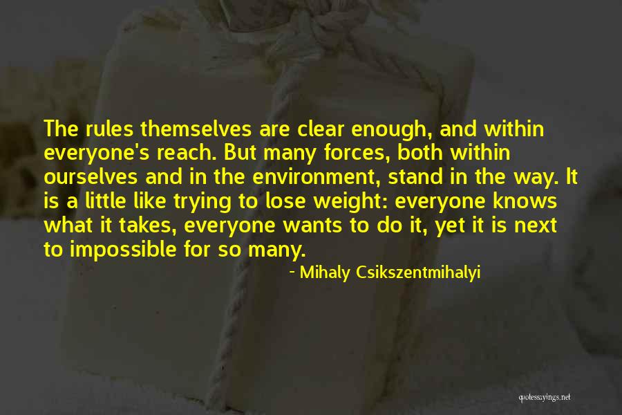 Selvidge Family In Lowell In Quotes By Mihaly Csikszentmihalyi Selvidge Family In Lowell In Quotes By Mihaly Csikszentmihalyi