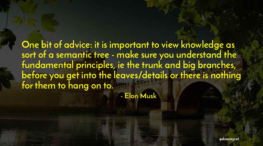 Semantic Quotes By Elon Musk