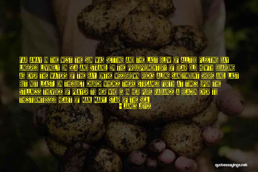 Semaphores Vs Mutex Quotes By James Joyce