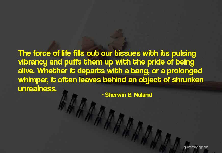 Sembaruthi Aadhi Parvathi Quotes By Sherwin B. Nuland Sembaruthi Aadhi Parvathi Quotes By Sherwin B. Nuland