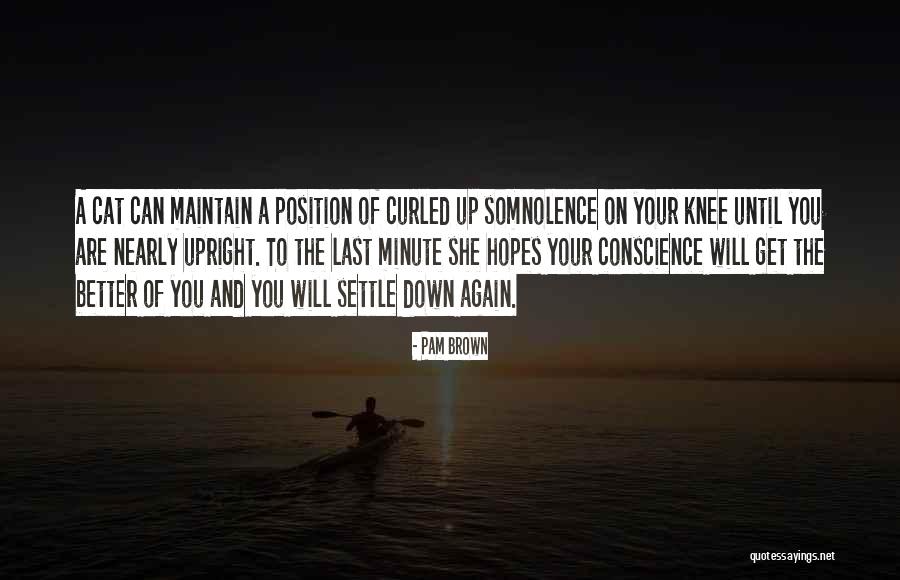 Sembunyi Status Quotes By Pam Brown Sembunyi Status Quotes By Pam Brown