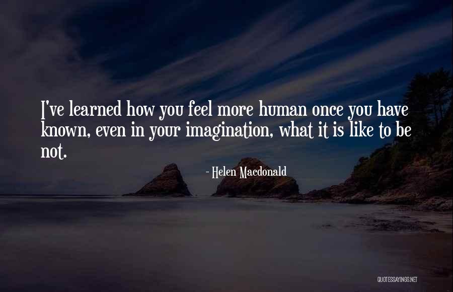 Sembunyikan Kesedihanmu Quotes By Helen Macdonald Sembunyikan Kesedihanmu Quotes By Helen Macdonald