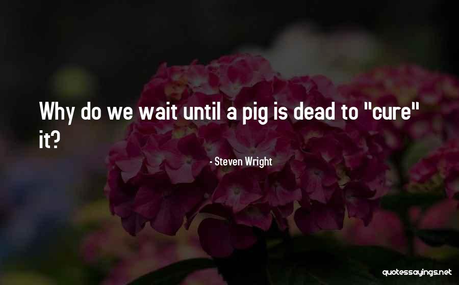 Semedo Football Quotes By Steven Wright