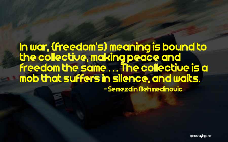 Semezdin Mehmedinovic Quotes 247909