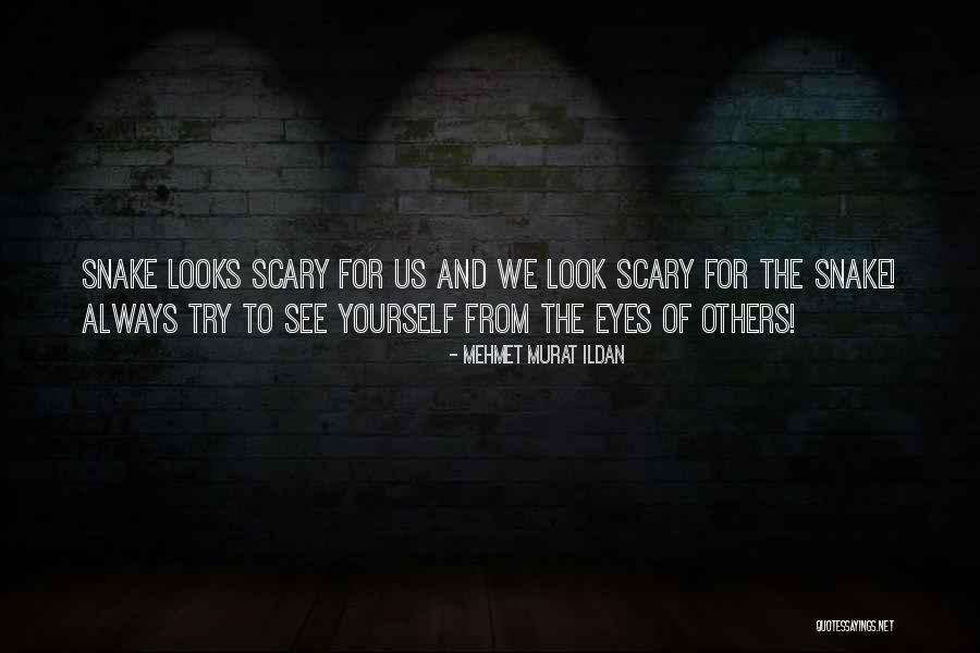 Semi Liquid Ingredients Quotes By Mehmet Murat Ildan Semi Liquid Ingredients Quotes By Mehmet Murat Ildan