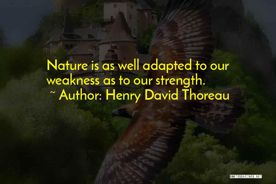 Seminars For Teachers Quotes By Henry David Thoreau