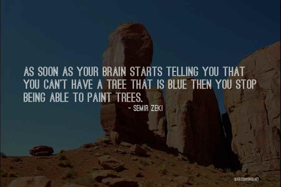 Semir Zeki Quotes 1418631 Semir Zeki Quotes 1418631