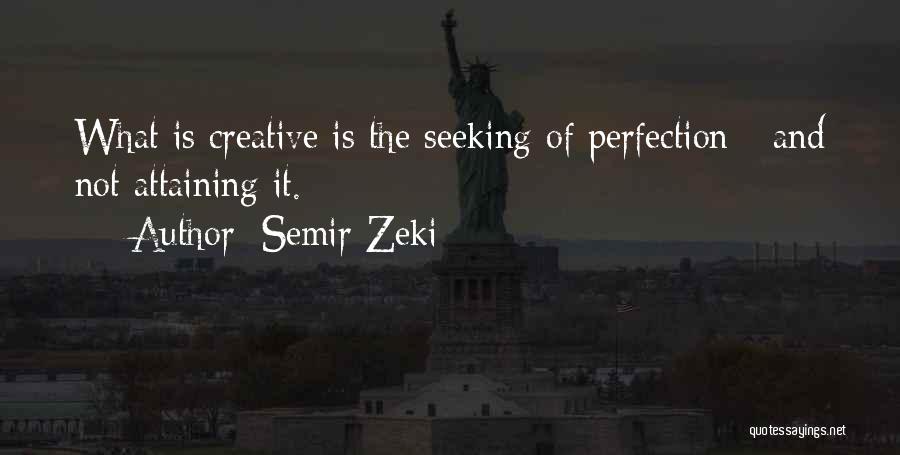 Semir Zeki Quotes 1963789